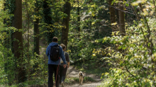Freizeit: Tourismus in Hessen