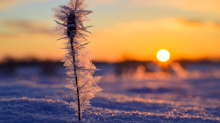 Wetter: Frostiger Sonntag mit viel Sonne in Berlin und Brandenburg