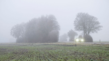 Wetter in Bayern: Grauer Morgen und später Sonne in Bayern
