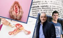 Akademijin rječnik stidnicom naziva spolovilo kobile. A znate li što zapravo na latinskom znači – penis?