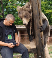 Maša viri u poruke na telefonu, Ljubica sa svakim 