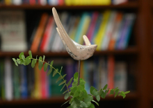 Trije romani za odrasle nominirani za modro ptico, ki jo podeljuje Mladinska knjiga