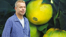 Band Bronski Beat half Star-Fotograf Wolfgang Tillmans beim Outing