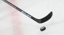 Eishockey: Nürnberg Ice Tigers stellen sich neu auf