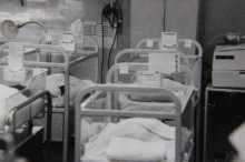 BEJBI BUM U KRAGUJEVCU: Rođeno 10 BEBA u jednom danu