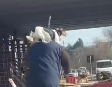 SIMPATIČNI SNIMAK IZ KRAGUJEVCA TOPI SRCA: Deka i njegov pas, dva verna druga koja nikad se ne razdvajaju, svuda idu zajedno! (VIDEO)