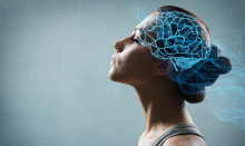 Šokantno otkriće: Mozak direktno komanduje imunitetom - otkrivena tajna veza koja menja medicinu zauvek