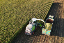 Graz und Umgebung: Die Stadtbauern bescheren Blau und Grün ein Plus