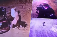 SKANDAL USRED BEOGRADA KOJI JE ZGROZIO SVET! Žena iz Beča izbacila psa iz automobila i OSTAVILA ga na pustom putu: Reakcija ljubimca SLAMA srca! (VIDEO)