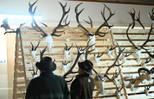 Ustavno sodišče: Zakon o skladu kmetijskih zemljišč lovcem pravice uporabe lovišč ne odvzema