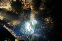 Holztransporter stürzt 70 Meter tief ab, Lenker stundenlang eingeklemmt