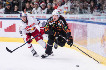 Eishockey: Weitere Ausfälle bei den 99ers, Koch ist wieder fit