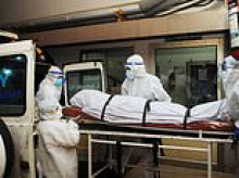 Deadly Nipah virus warning as UK health chiefs issue new guidance - and tell holidaymakers to 'wash and peel fruit' due to infection risk