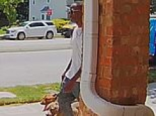 Trusting dogs filmed being taken on walk shortly before they suffered unfathomable abuse that ended with their strangulation in parking lot