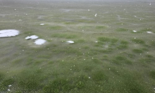 Neobičan prizor u Češkoj: Zaleđeno jezero iznenada postalo zeleno