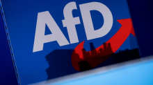 Regierung sieht bei AfD-Jugend Kontinuität zu rechtsextremistischer Vorgängerin
