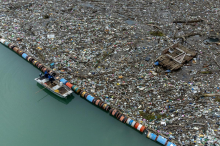 Reka Drina se duši v odpadkih