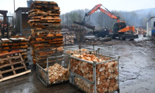 Stižu im milijarde eura prihoda, a potencijala ima još: Drvnoj industriji potreban poticaj