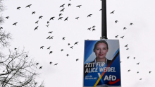 Wahlhelfer der AfD in Baden-Württemberg bedrängt und mit Reizgas attackiert