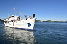 Legende der Adria steht zum Verkauf: Fährschiff Tijat sucht Kapitän