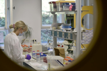 Mednarodni dan žensk v znanosti: diskriminacija je še vedno prisotna