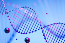 Klagenfurt: Sprechstunde für erbliche Erkrankung und genetische Risiken 