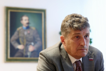 Sajovic: Tajni dokument Slovenije ne prikazuje kot problematične članice