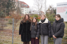 Kunstprojekt: Schülerinnen machen aus Christbäumen Schneebesen