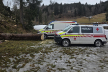 Bein unter meterlangem Baumstamm eingeklemmt – Schwerer Forstunfall