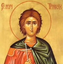 Slavimo Svetog Trifuna! Ovo su svi običaji i verovanja: Ako danas padnu kiša ili sneg, zna se kakva nas godina čeka