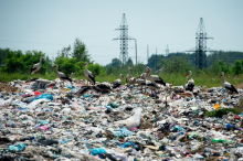 Bacimo 300 Ajfelovih tornjeva za godinu dana: Stanje otpada u Srbiji