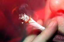 Besonderes „Geschenk“: Kärntner gab Polizisten Hunderte Gramm Cannabis