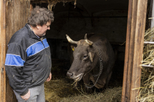 Witgar Wiegele: „Ich bräuchte einen Pressesprecher für Kuh Veronika“