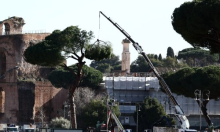 Postaju sve krhkiji zbog klimatskih promjena: Rim siječe stare borove duž avenije do Koloseja