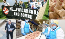 Hoće li ukrajinske megafarme zaživjeti na Banovini? Ovo je sve što znamo o tim projektima