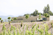 Domäne Lilienberg: Weingut von Lilihill-Chef vor der Zwangsversteigerung