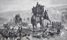 Arheolozi pronašli drevnu kost: Potječe od jednog od mitskih Hanibalovih ratnih slonova?