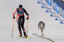 Tierischer Zielsprint! Hund löste in der Langlauf-Quali Fotofinish aus