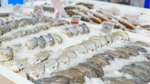 Tracciabilità digitale obbligatoria per il pesce in Europa: cosa cambia dal 2026