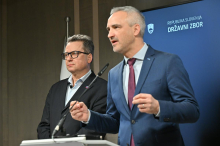 SDS in NSi: Ustavno sporna sta prispevka od postranske dejavnosti in od pokojnin