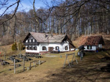 Družinski pohod, po snegu ali blatu, na Čemšeniško planino #video