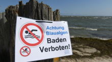 Gesundheitszustand der Ostsee: Die Ostsee schleppt eine schwere Nährstoffhypothek mit