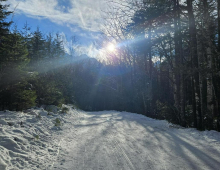V Tamarju s sankami trčila v 72-letnico, jo huje poškodovala in odpeljala dalje