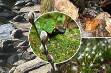 Bis zu 15 Grad: Mildes Wetter kündigt in Kärnten den Frühling an