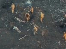 Russian commanders' brutal executions... of their OWN men: Soldiers describe pits filled with men shot for fleeing front line or sent on suicide 'meat storm' missions unarmed