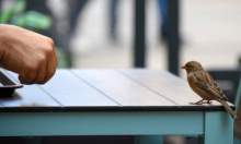 Ugostiteljstvu rashodi rasli brže od prihoda: Troškovi stisli