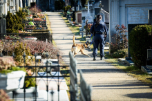 Parallelen zu Wien: Messerattacke auf Friedhofsbesucherin in Graz bleibt wohl ungelöst