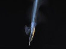 Photographer's stunning pictures show kingfishers diving into pond