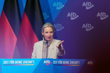 AfD pretresa očitek nepotizma. Poslanci naj bi zaposlovali sorodnike sodelavcev.