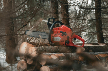 Weiz: Oststeirer (60) starb beim Aufarbeiten von Schneebruch